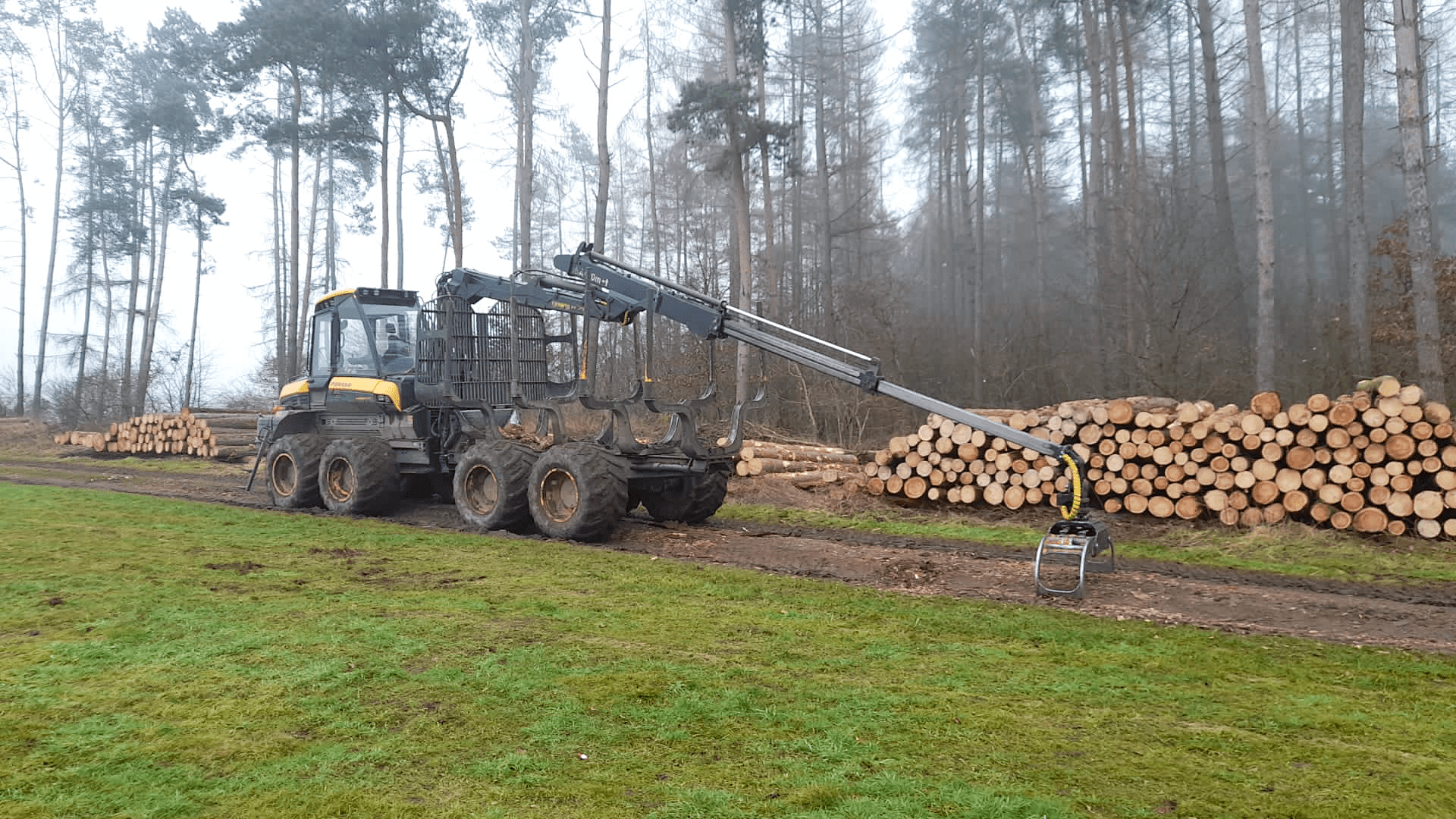 Used Ponsse Wisent 8-Wheeler - Forwarder - 2017