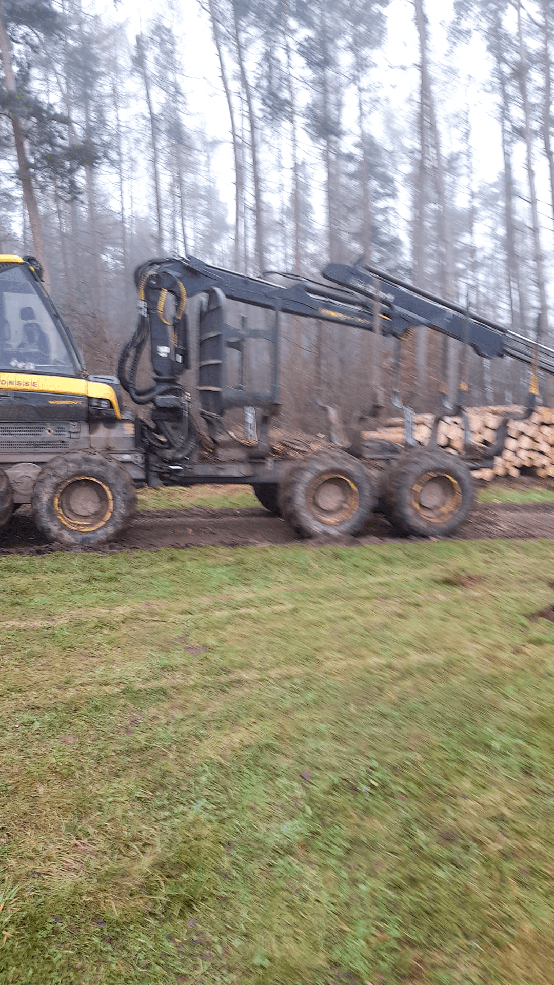 Used Ponsse Wisent 8-Wheeler - Forwarder - 2017