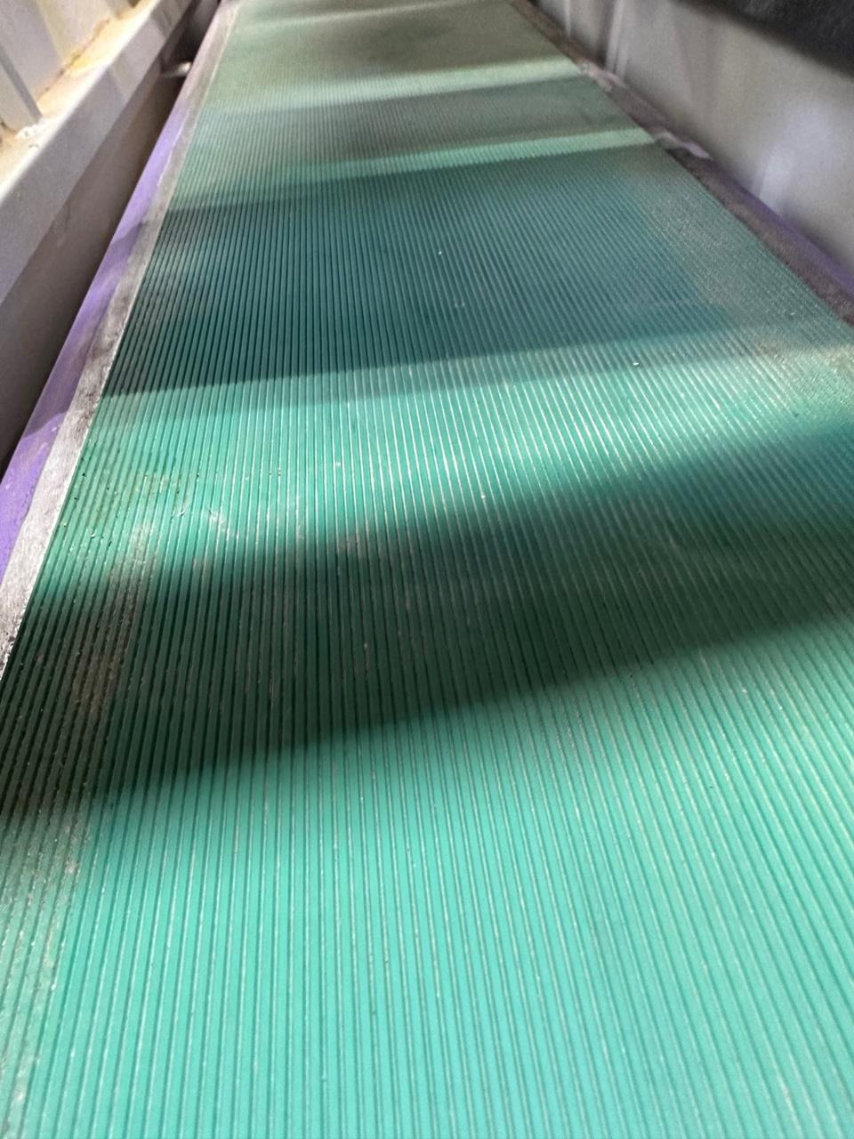 Used NS Maquinas FGW 170 4Z I Belt Grinding Machine I 2019