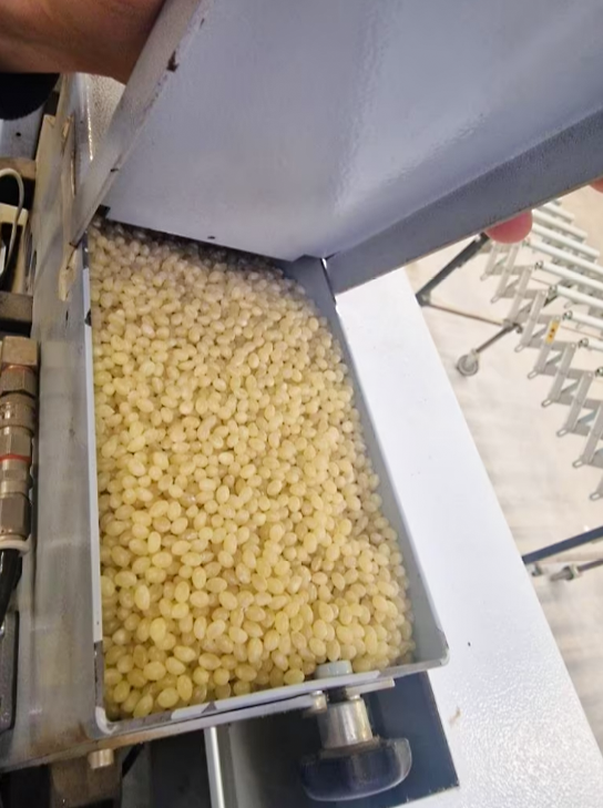 Used Brandt Highflex 1440 - Edgebanding - 2016