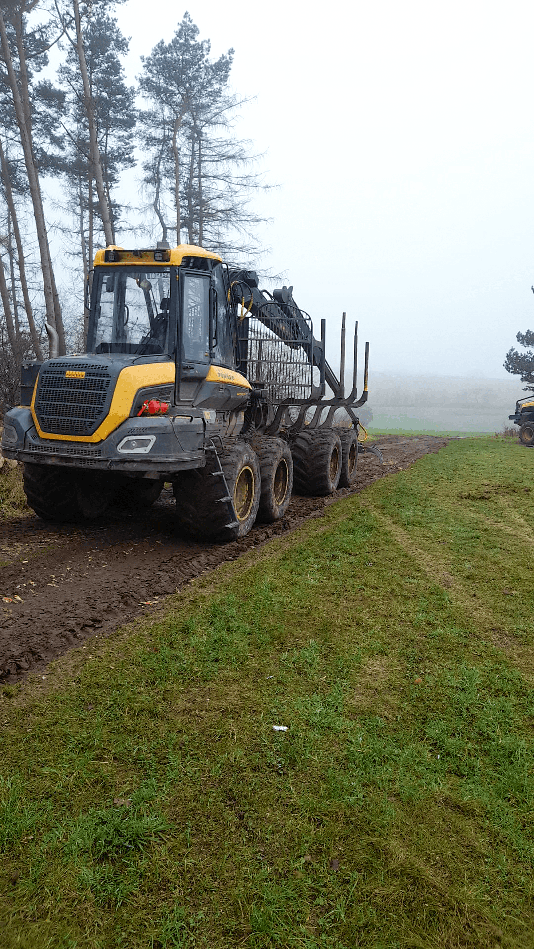 Used Ponsse Wisent 8-Wheeler - Forwarder - 2017