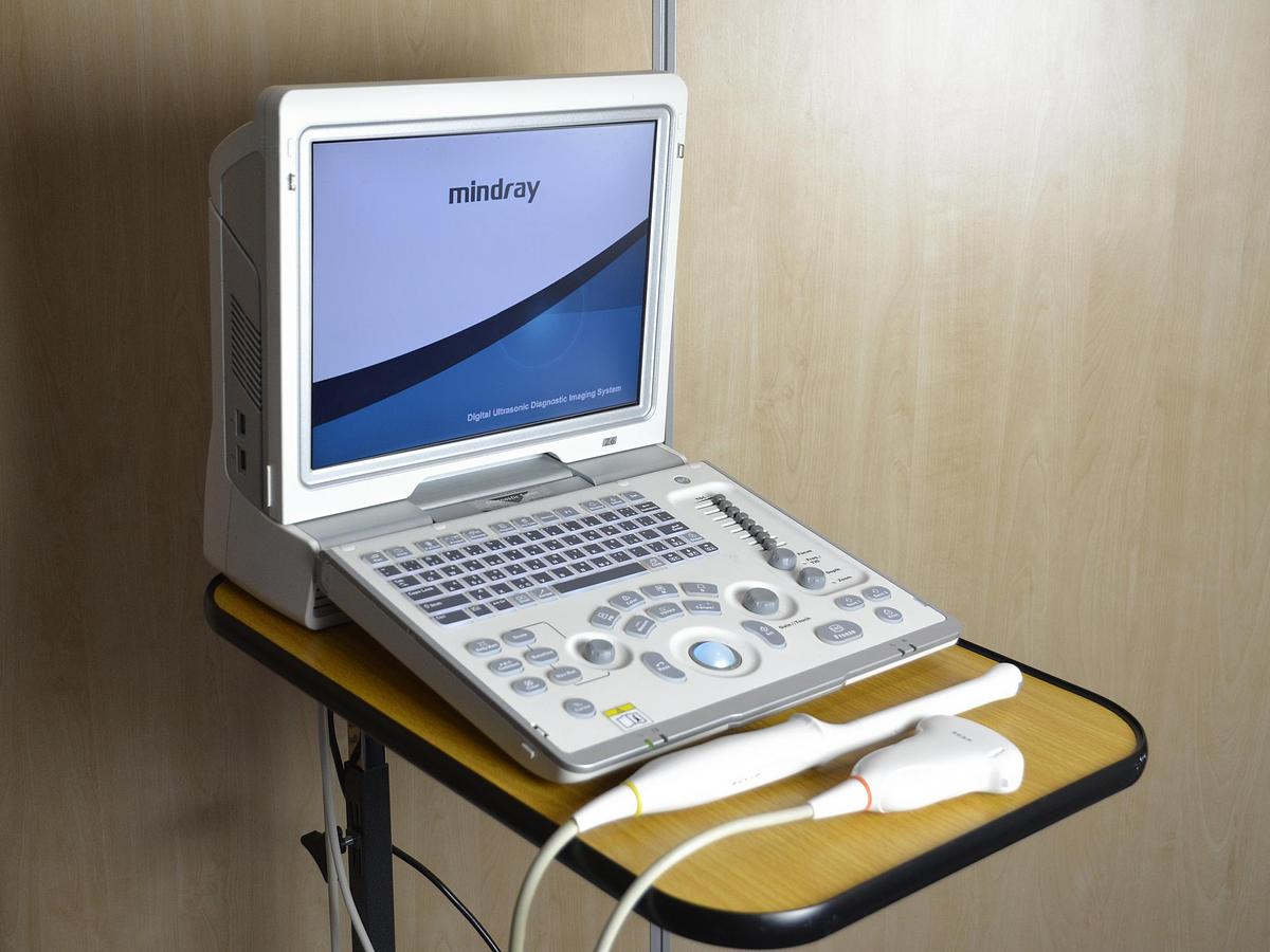 D'occasion ECHOGRAPHE PORTABLE MINDRAY Z6 AVEC DEUX SONDES