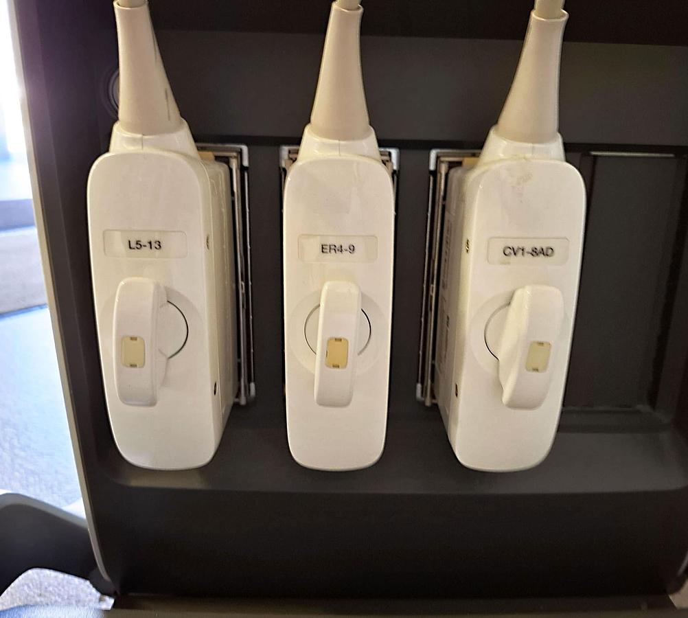 D'occasion ECHOGRAPHE SAMSUNG H60 AVEC 3 SONDES