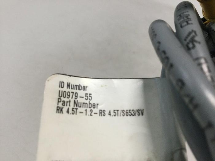 Used TURCK ELEKTRONIK Cordset U09799-55 #101504