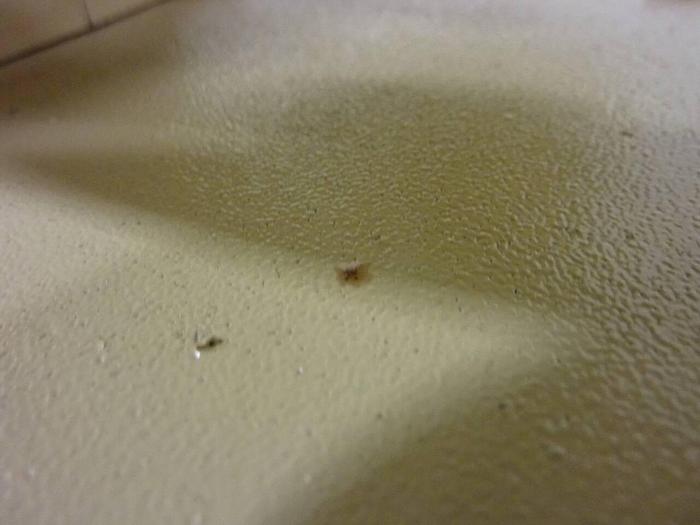 Used ALLEN BRADLEY 60 HP DC Motor 5CD192NA027A900 Used