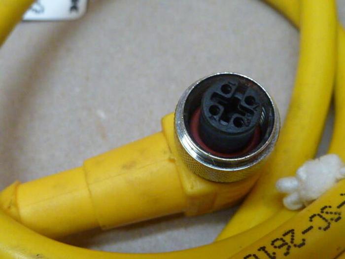 TURCK ELEKTRONIK Cable WKC4.4T-3-RSC 4.4T #32631