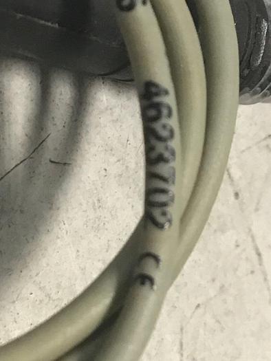 Used TURCK ELEKTRONIK Cylinder Position Sensor BIM-INR-AP6-0.3-PSG3S #124312