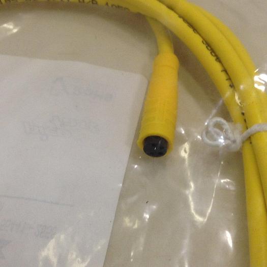Used TURCK ELEKTRONIK Cordset Cable PKG 4-2 #82683