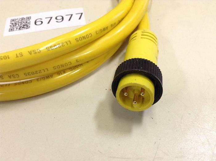 Used WOODHEAD CONNECTIVITY / BRAD HARRISON Cable 41018 #67977