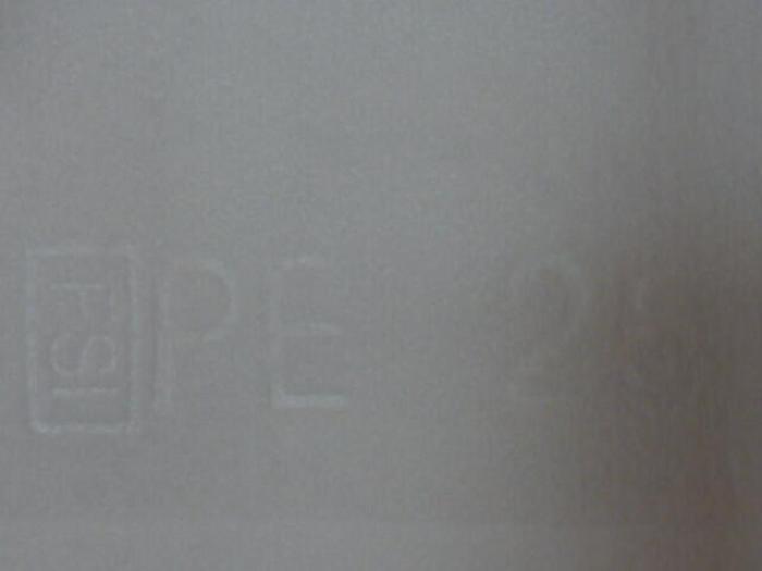 FSI Felt Filter Bag PE25 #29183