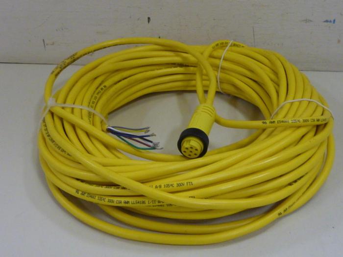 BRAD CONNECTIVITY Cable 42909 #61755