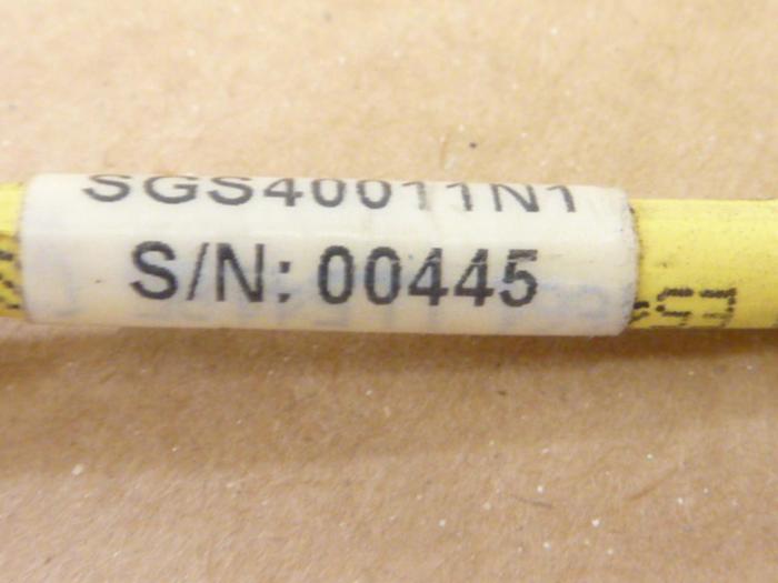 Used SYRON Switch SGS40011N1 #45444