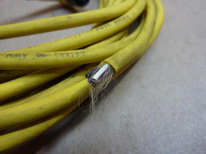 Used BALLUFF Cordset C04BEL00TY100M #29764