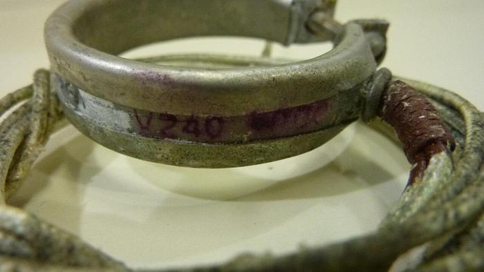 IMS 100 Watt Heater Band HEATER BAND #42700