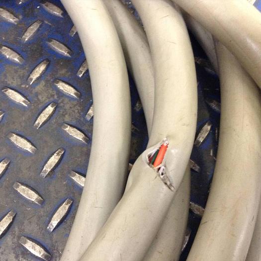 Used GENERIC Power Cable CABLE838 Used