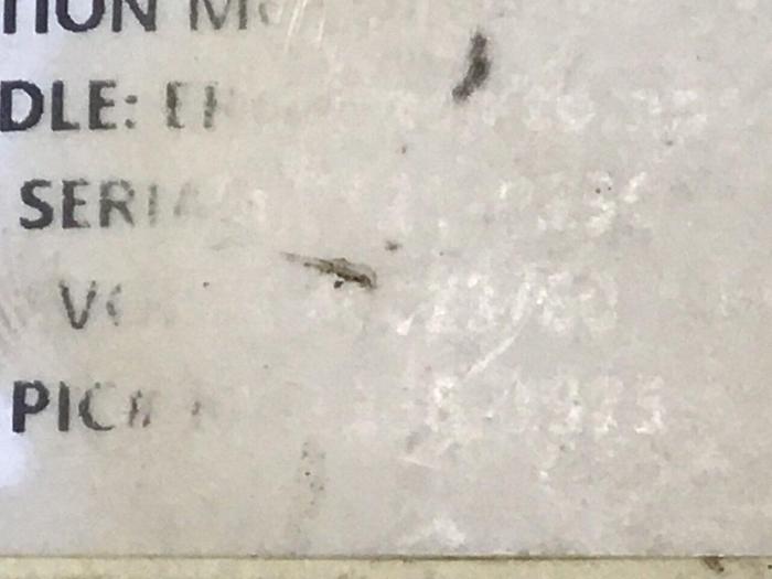 Used SAFEMASTER Safety Relay BG5924.48 #138352