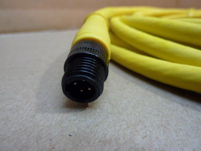 BRAD HARRISON / WOODHEAD Cord 774030C04F180 #29632