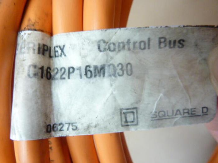 Used SQUARE D Cable C1622P16MQ30 #38066
