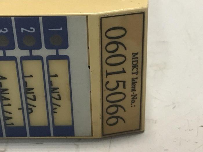 Used DEMAG Input Module AO081 06015066 #124764