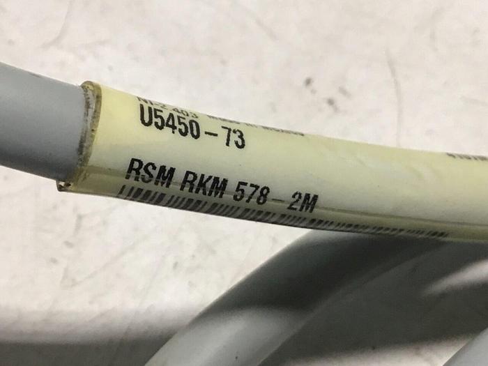 Used TURCK ELEKTRONIK Cable RSM RKM578-2M #122253