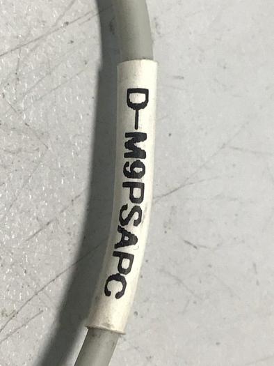 Used SMC Proximity Sensor D-M9PSAPC #115311