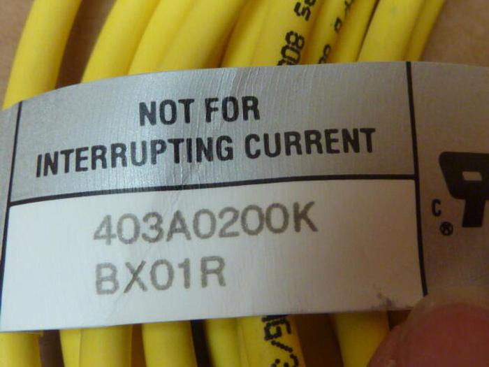 REMKE Lead Cable 403A0200K #31687