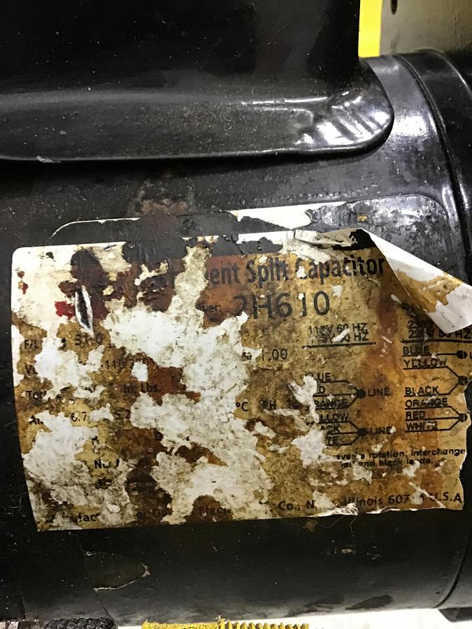 Used DYNACON Conveyor ELS554 Used