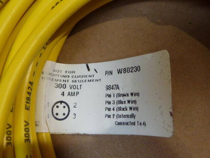 IFM Cable W80230 #31696