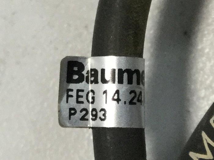 Used BAUMER ELECTRIC Proximity Sensor FEG 14.24/403858 #103697