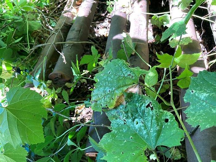 Used Tooling Lot for Cable Tool Rig