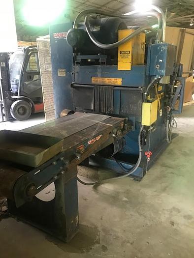 Used Cornell Gang Rip Saw
