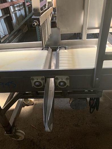 Used Stainless Steel Coating Conveyor