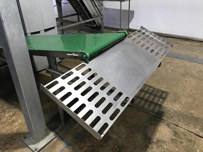 Used COMPLETE SALAD / VEGETABLE PROCESSING AND PACKING PLANT