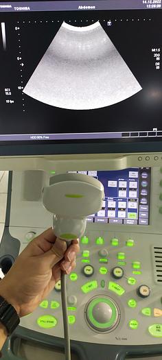 Gebraucht Toshiba PVT-375 Konvex Ultraschallsonde