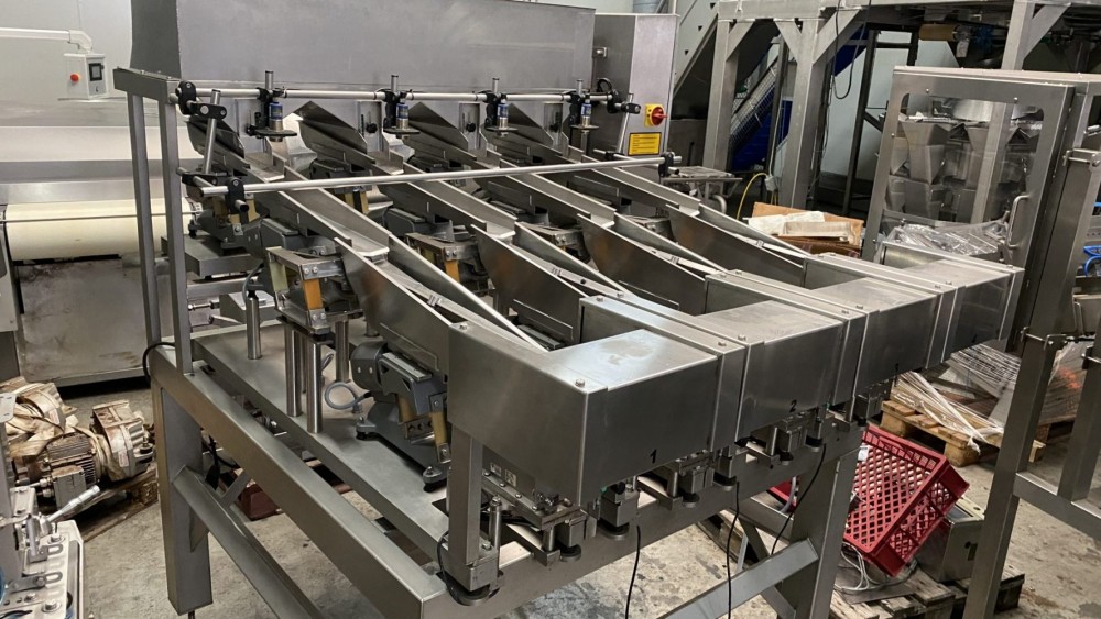 Used Newweigh lineair weighing and packing line