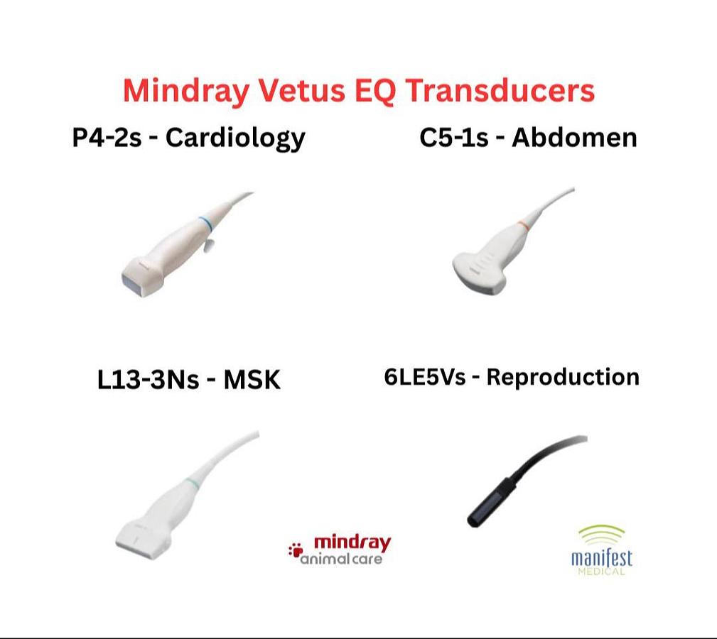 Probes For Mindray Vetus EQ Equine Vet Ultrasound Machine For Sale | Manifest Medical