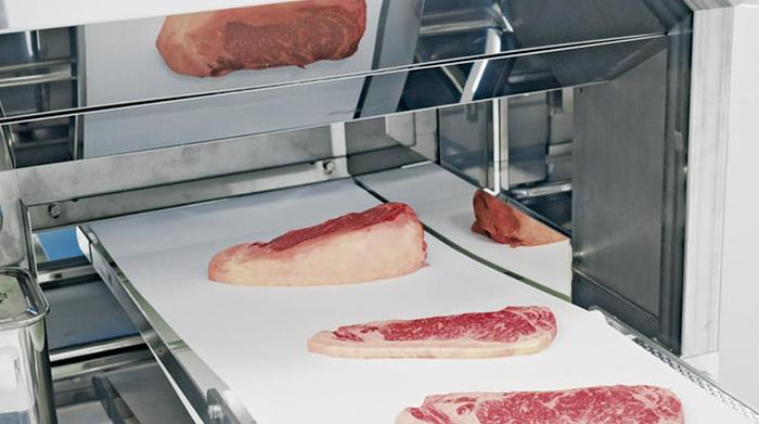 Nantsune Model NTD-300 Libra 300C Fixed Weight Meat Slicer