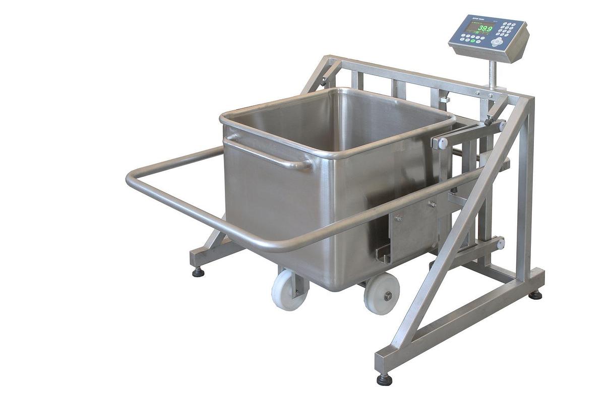 Used RAM Buggy Scale