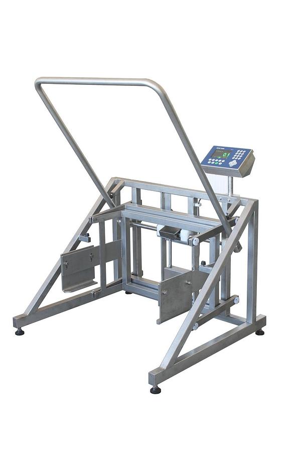 Used RAM Buggy Scale