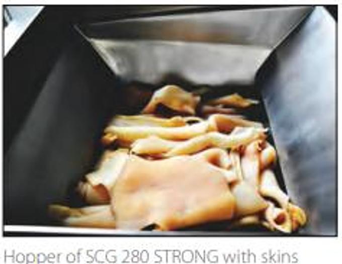 PSS Model SCG 280 STRONG Frozen Block Industrial Meat Grinder