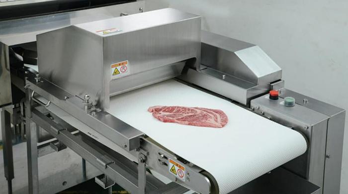 Nantsune Model NTD-300F Libra 300F 3D Frozen Fixed Weight Meat Slicer