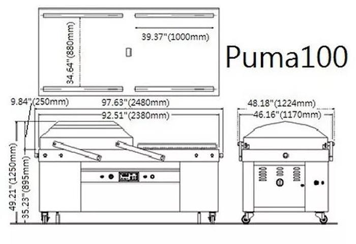 RAM Model 100 Puma Jumbo Double Chamber Vacuum Packaging Machine