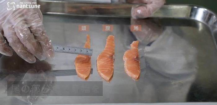 Nantsune Model SSN-180 Apollo Industrial Diagonal Fish and Meat Multi-Slicer