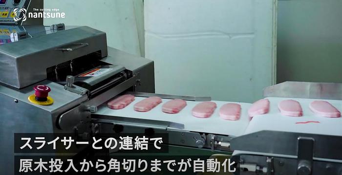 Nantsune Model IKSC-300 High Speed Meat Dicing Machine