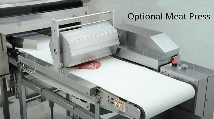 Nantsune Model NTD-300F Libra 300F 3D Frozen Fixed Weight Meat Slicer