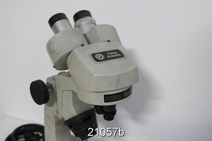 Used Fisher Scientific Stereomaster Microscope #21057