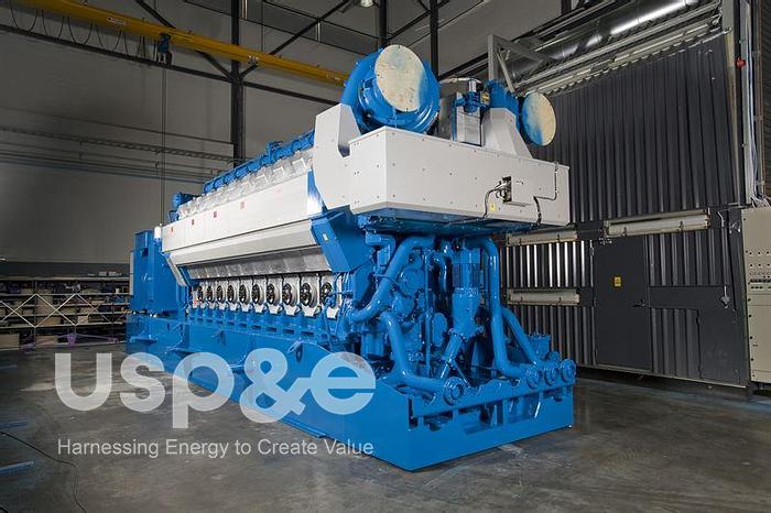 8.7 MW 2008 New Wartsila 20V34SG Natural Gas Generator