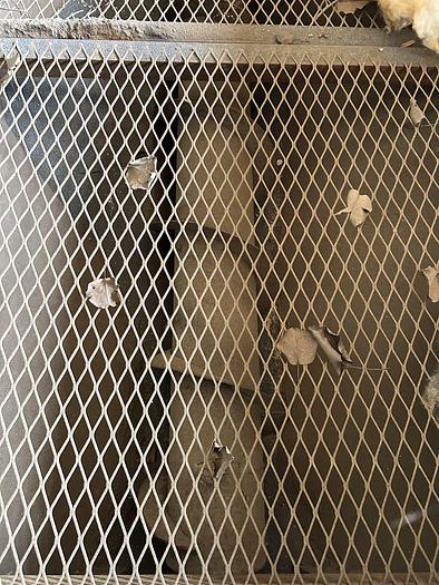 Very good 1996 BCP A4-7365 Roll Conveyor