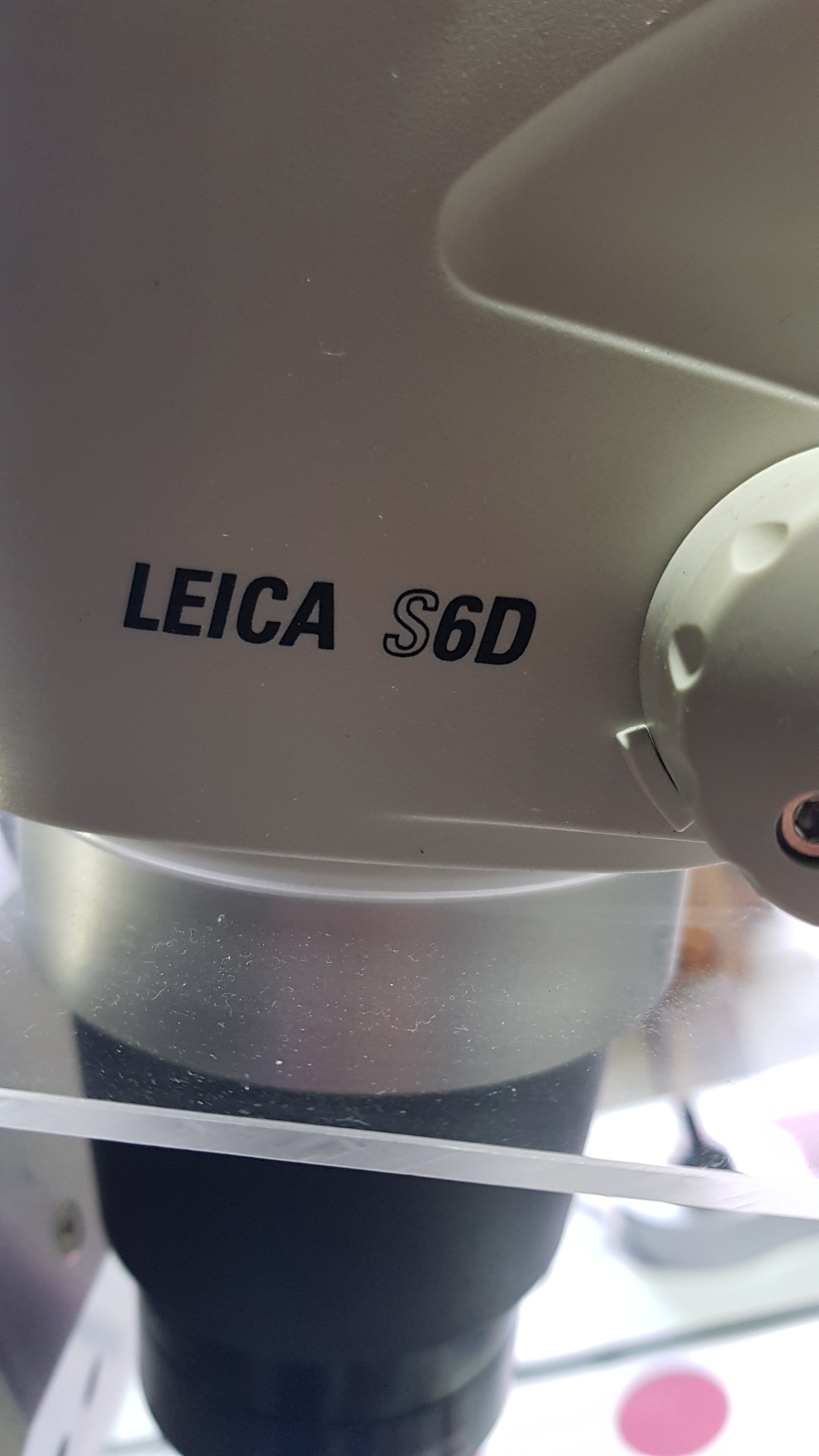 Used XYZTEC Condor 150-3