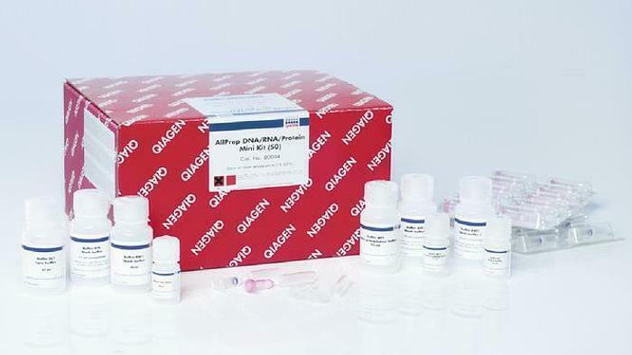 Qiagen 80004 AllPrep DNA RNA Protein Mini Kit 50 Preps for Qiacube NEW (4668)